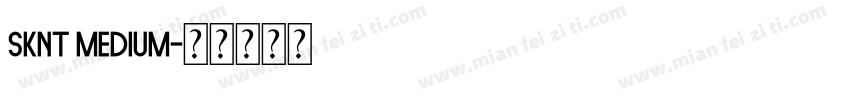 SKNT Medium字体转换